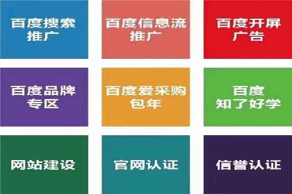 竞价广告与自然搜索的结合策略：XX网站的案例分析